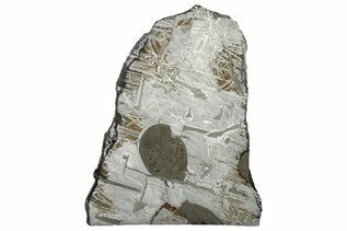 Saint-Aubin Meteorites For Sale