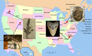 List of State Fossils