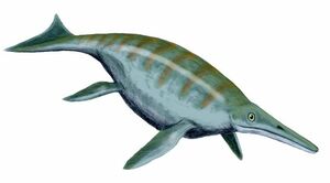 Nevada State Fossil - Ichthyosaur (Shonisaurus popularis)