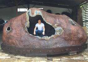 What Is The Largest Ammonite Ever Found? - FossilEra.com