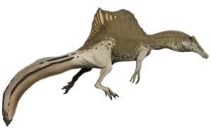 About Spinosaurus
