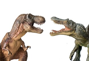 Was Spinosaurus Bigger Than T-Rex? For Sale