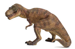 The Ultimate Guide To Tyrannosaurs For Sale