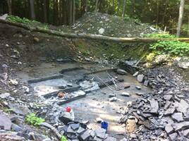 Trip Report: Walcott-Rust Quarry Trilobites – August, 2013