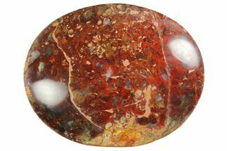 1.9" Petrified Palm Root Pocket Stones - Red Color