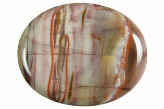 1.8" Polished Petrified Wood Worry Stones