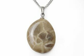 Polished Petoskey Stone (Fossil Coral) Necklaces - Michigan