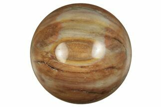 .9" Polished Petrified Wood Sphere
