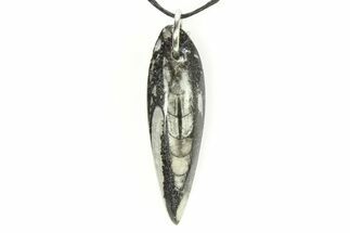 1 1/2 - 2" Polished Orthoceras Fossil Necklace - Morocco