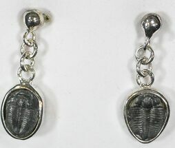 Sterling Silver Elrathia Trilobite Earrings #9128