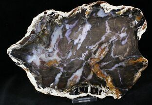 Beautiful Hubbard Petrified Wood Slab With Purple - #24193