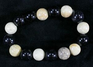 Polished Petrified Wood Bracelet #24670