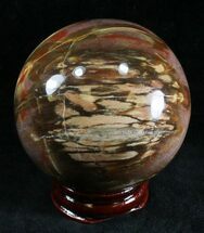 Petrified Wood Spheres For Sale - FossilEra.com