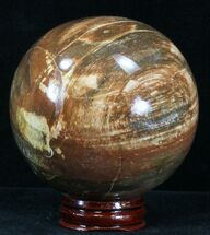 Petrified Wood Spheres For Sale - FossilEra.com