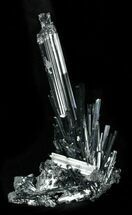 Delicate Metallic Stibnite Crystal Cluster - China #31573