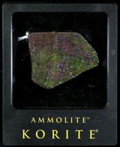 Brilliant Iridescent Ammolite With Display Case #31686