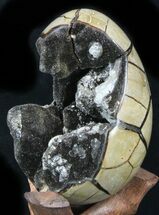 Septarian Dragon Egg Geode - Black Calcite & Barite #33504