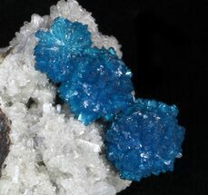 Vibrant Blue Cavansite Crystals on Stilbite - India #33693