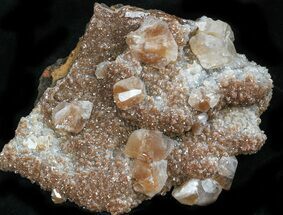 Zoned, Red Calcite Crystal Cluster - Santa Eulalia #33833