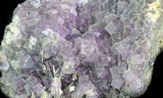 Small, Cubic, Purple Fluorite Crystals - China #33709