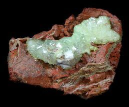 Gemmy, Green Adamite Crystals - Durango, Mexico #34940