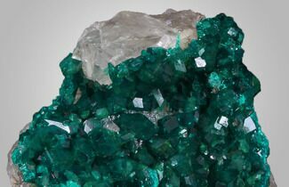 Emerald-Green Dioptase Cluster - Kazakhstan #34967