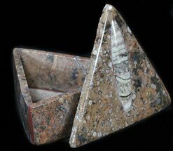 Fossil Orthoceras Box (Triangle) - Stoneware #35276