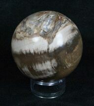Inch Petrified Wood Sphere #4042