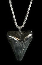 Polished Megalodon Tooth Necklace #36583