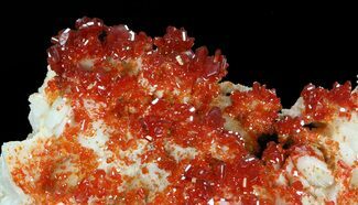 Red Vanadinite Crystal Cluster - Morocco #38528