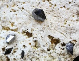 Anatase (Titanium) Crystals - Pakistan #38660