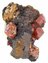 Red Vanadinite Crystals on Matrix - Morocco #38482