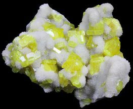 Sulfur Crystals on Aragonite - Italy #39017