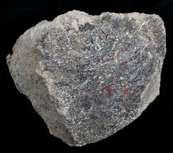 / Lb Red Agatized Dinosaur Bone - Lapidary Potential #4138