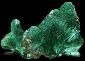 Silky, Fibrous Malachite Crystals - Morocco #42080