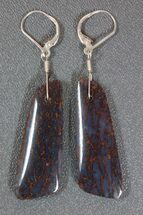 Gorgeous Agatized Dinosaur Bone Earrings #4278
