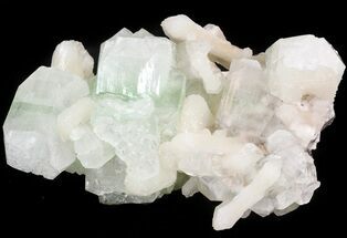 Zoned Apophyllite Crystals with Fibrous Stilbite Bowties - India #44408