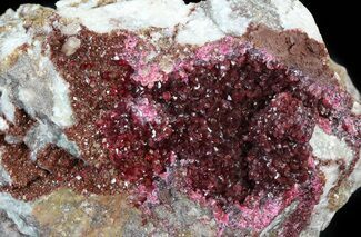 Vivid Magenta-Red Roselite Microcrystals - Morocco #44763