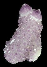 Beautiful Cactus Quartz (Amethyst) Crystal - South Africa #44786
