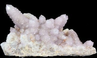 Cactus Quartz (Amethyst) Crystal - Large Cluster #44790