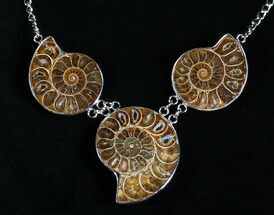 Triple Ammonite Necklace #4371