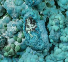 Turquoise Chrysocolla on Malachite - Congo #45286