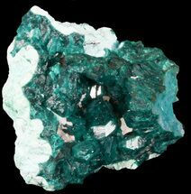 Emerald Green, Dioptase Cluster on Plancheite - Congo #45299