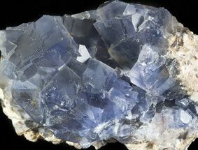 Blue, Fluorite Cube Cluster - Pakistan #46018