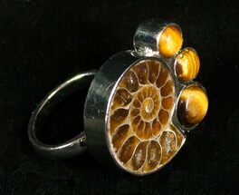 Ammonite Ring With Tigers Eye #4507