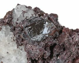 Lustrous Rutile Crystals on Matrix - Georgia #47854