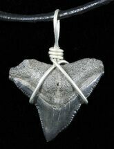 Fossil Dusky Shark Tooth Necklace #48173