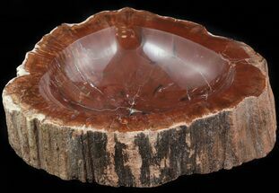 Polished, Red Madagascar Petrified Wood Bowl - #48675