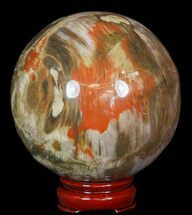 Colorful Petrified Wood Sphere #49741