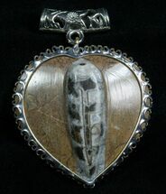 Brown Heart Fossil Orthoceras Pendant #4713
